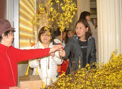 Đón giao thừa ở Nam California ảnh 4