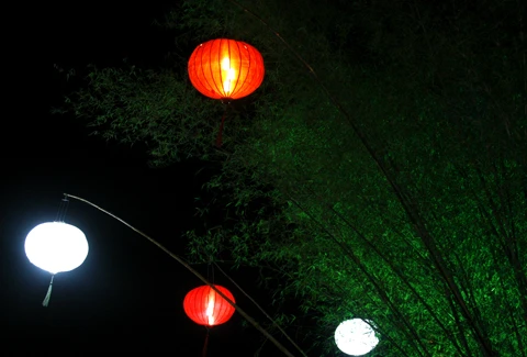 Đường phố Sài Gòn lung linh ánh sáng ảnh 10