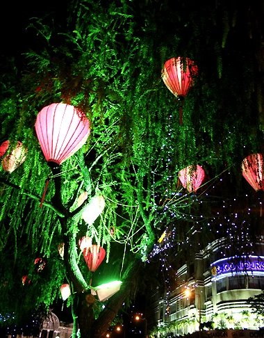 Đường phố Sài Gòn lung linh ánh sáng ảnh 5