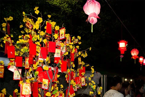 Người Việt nô nức đi hội chợ xuân ở chùa Pháp Hoa trong đêm 30 Tết. Nhà sư bán đồ cầu may ở một góc chùa. Trẻ em mở quầy bán kẹo. Cây mai vàng treo đầy những lá xăm may mắn cho năm mới. Pháo nổ rộn ràng sân chùa. Đoàn nghệ sĩ múa lân trình diễn. Du khách vẽ chữ Canh Dần bằng graffiti pháo hoa.