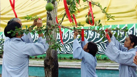 Cầu mong những điều tốt đẹp.