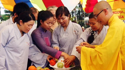 Học cách chưng trái cây.