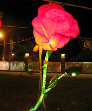 Hội An: Lễ hội đèn lồng “hút” khách ảnh 10