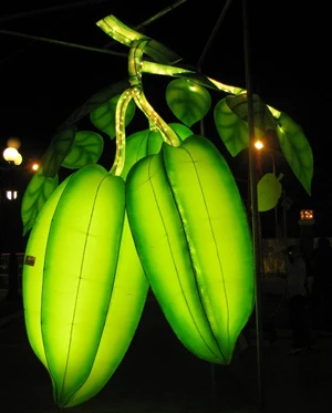 Hội An: Lễ hội đèn lồng “hút” khách ảnh 3