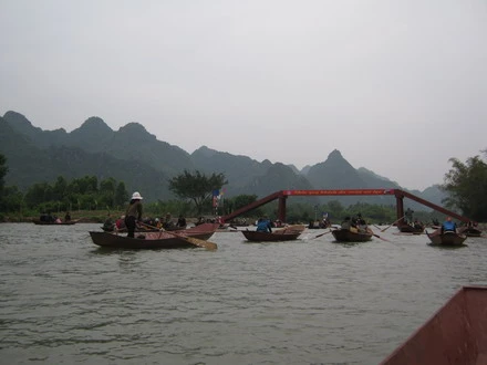 chuahoi _01.jpg