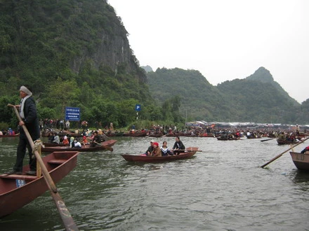 chuahoi _02.jpg