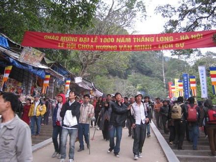 chuahoi _05.jpg