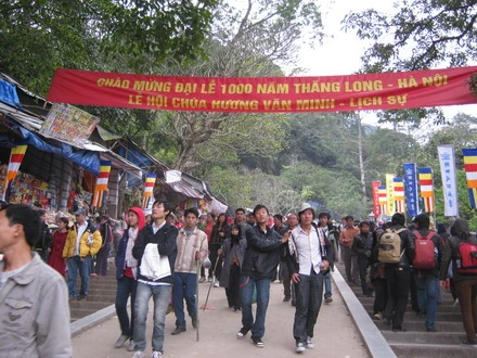 chuahoi _05.jpg