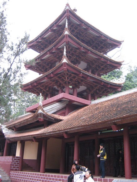 chuahoi _06.jpg