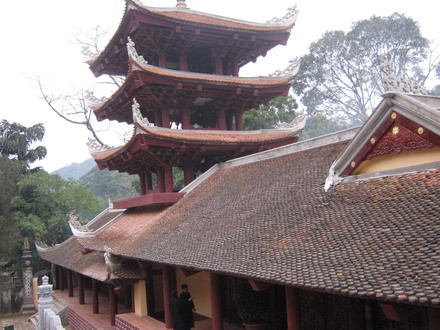chuahoi _07.jpg