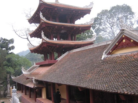 chuahoi _07.jpg