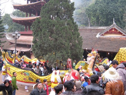 chuahoi _21.jpg