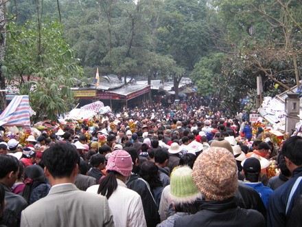 chuahoi _22.jpg