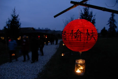 10. Hoa dang tai Xom Moi.jpg