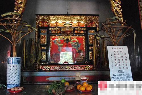 Rùng mình vào chùa toàn rắn độc