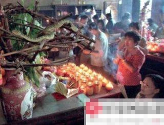 Rùng mình vào chùa toàn rắn độc