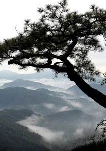 Những cảnh như thế này không phải nơi nào cũng có.