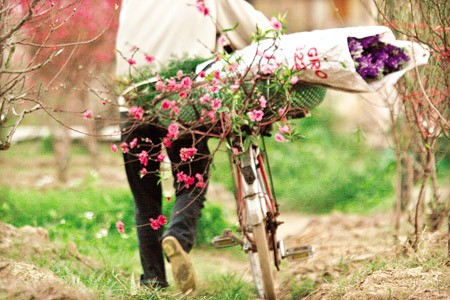 Chuyện ảnh: Hoa cho rằm xuân ảnh 5