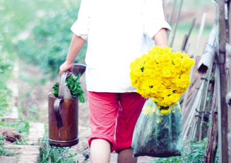 Chuyện ảnh: Hoa cho rằm xuân ảnh 6