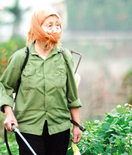 Chuyện ảnh: Hoa cho rằm xuân ảnh 7