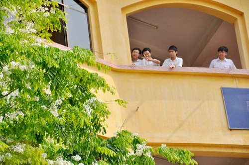 Hà Nội vào mùa hoa sưa ảnh 4 Hà Nội vào mùa hoa sưa