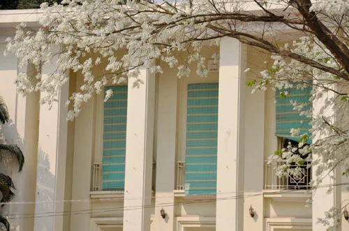 Hà Nội vào mùa hoa sưa