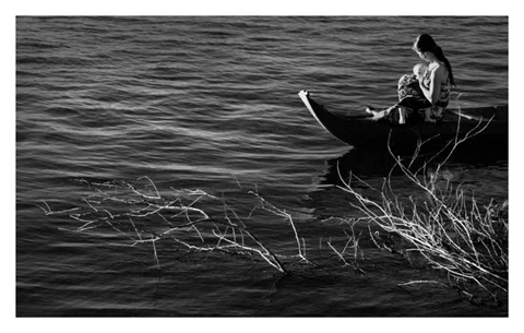 “Sự bất hiếu ngọt ngào” ảnh 1