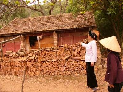 "Khóc" thay cho cột đá chùa Dạm! ảnh 2 "Khóc" thay cho cột đá chùa Dạm! ảnh 2