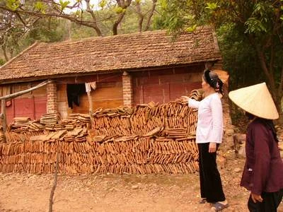 "Khóc" thay cho cột đá chùa Dạm! ảnh 2