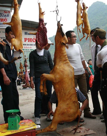 Thịt được “gắn mác” thú rừng bày bán tại chùa Hương.