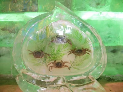 Thung lũng Long Khánh và lễ hội băng đăng ảnh 9