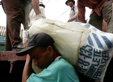 Khi khuân vật nặng cần chỉnh lưng thẳng, sau đó từ từ nhấc vật nặng lên - Ảnh: N.C.T.