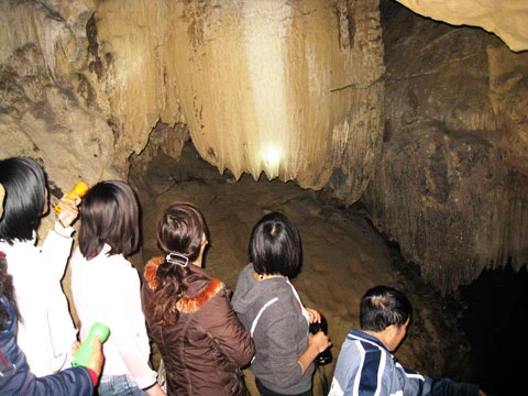 Lối vào động như mê cung huyền ảo. Du khách ngỡ ngàng trước muôn hình, vạn trạng mà những nhũ thạch tạo ra. Nhũ đá nhiều màu sắc tạo nên hình đàn thú uống nước... Buồng cô tiên, Bóng dáng nàng thiếu nữ... Mâm ngũ quả... và muôn vàn hình thái khác.