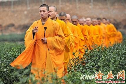Trung Quốc: Chư tăng Thiền tự Pháp Tịnh - Hàng Châu, thu hoạch "Thiền Trà" theo nghi lễ Phật giáo ảnh 14 tradao 14.jpg