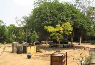 Dã ngoại cuối tuần: Đến chùa Lá làm điều thiện ảnh 2 Dã ngoại cuối tuần: Đến chùa Lá làm điều thiện ảnh 2