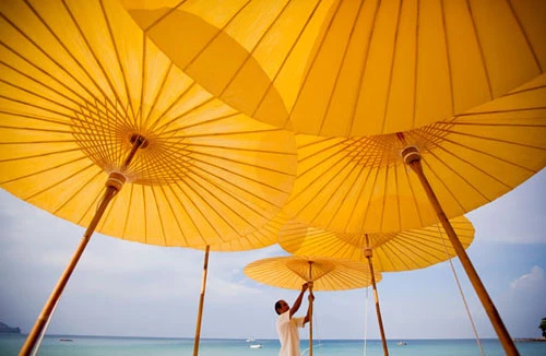 Một tuần khám phán Phuket ảnh 1