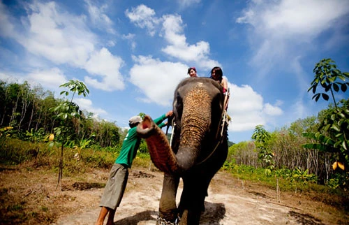 Một tuần khám phán Phuket ảnh 7