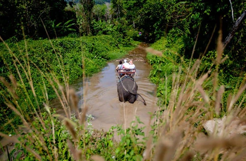 Một tuần khám phán Phuket ảnh 8