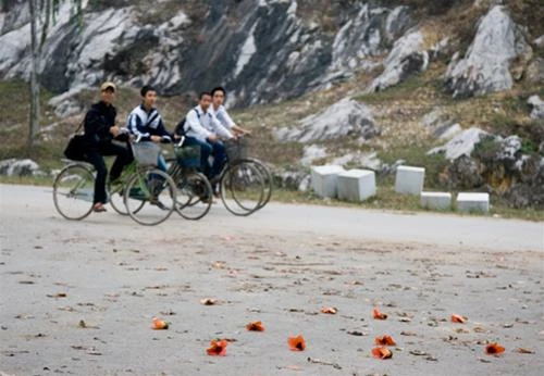 Hoa gạo chùa Trầm ảnh 7