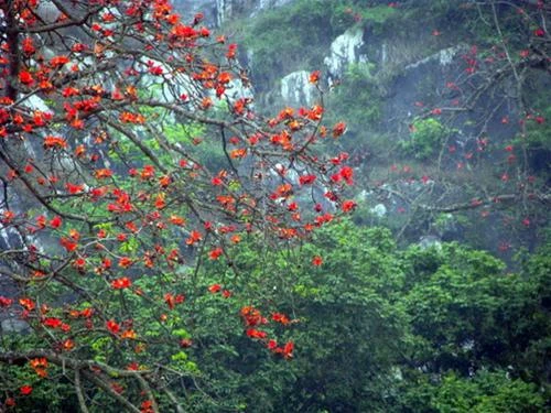 Ảnh: Hạ My Ảnh: Giang Nguyên