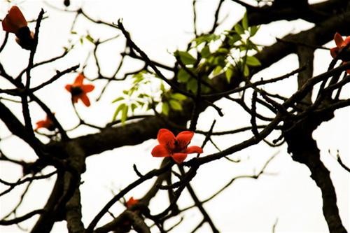 Ảnh: Hạ My Ảnh: Hạ My