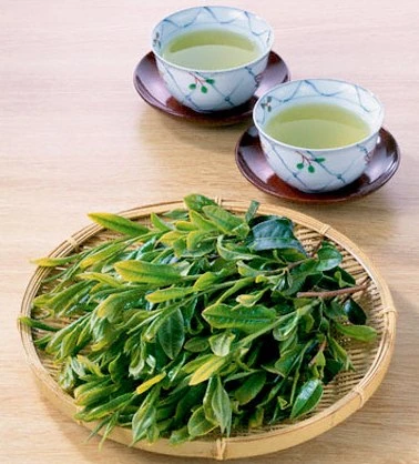 Các đồ uống giải khát mùa hè bổ dưỡng ảnh 1 Các đồ uống giải khát mùa hè bổ dưỡng ảnh 1