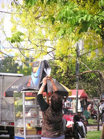 Sài Gòn có "sắc vàng mê hoặc" ảnh 2 Sài Gòn có "sắc vàng mê hoặc" ảnh 2