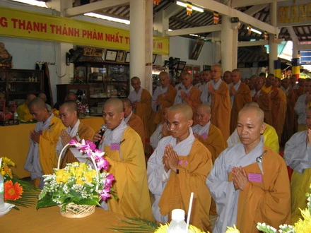 dongthap_13.JPG
