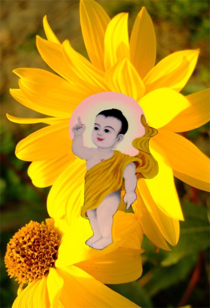 PhatDanSanh.jpg