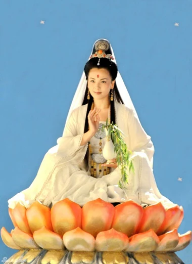 Lưu Đào trông rất cao sang và thanh nhã. Ảnh: Sina.