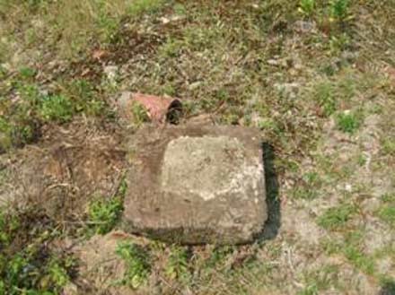 tansachau-3.jpg
