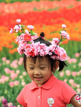 Tulip đua sắc ở Bắc Kinh ảnh 6 Tulip đua sắc ở Bắc Kinh ảnh 6