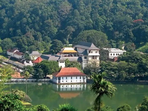 Quần thể đền thờ răng Phật