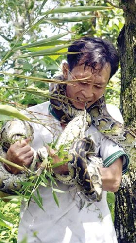 Ảnh: Trần Thế Dũng